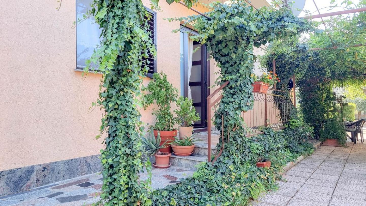 Apartments Maria Novigrad  Luaran gambar